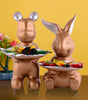 Cute Animal Candy Holder Set – Decorative Bunny & Bear Figurine Bowls for Sweets, Snacks & Chocolate | Resin Tabletop Décor for Home & Kids Room
(13 cm) (BLACKLUXE CRAFTS) - BLACKLUXECRAFTS