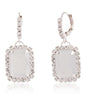 Luxury Crystal Rectangle Drop Earrings for Women – Elegant Rhinestone Dangle Jewelry, Wedding & Party Accessories
(BLACKLUXE CRAFTS) - BLACKLUXECRAFTS