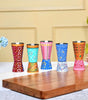 Set of 5 Hand-Painted Aluminium Tumblers – Rajasthani Traditional Indian Drinking Glasses | Handmade Eco-Friendly Cups (BLACKLUXE CRAFTS) - BLACKLUXECRAFTS