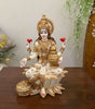 Seated Goddess Lakshmi Maa Statue – Handmade Devi Idol of Wealth & Prosperity for Home Temple, Pooja & Indian Spiritual Decor
(BLACKLUXE CRAFTS) - BLACKLUXECRAFTS