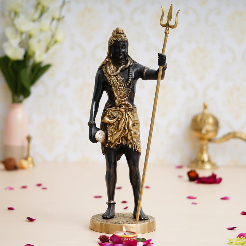 Shiva Idols